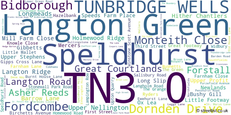 A word cloud for the TN3 0 postcode